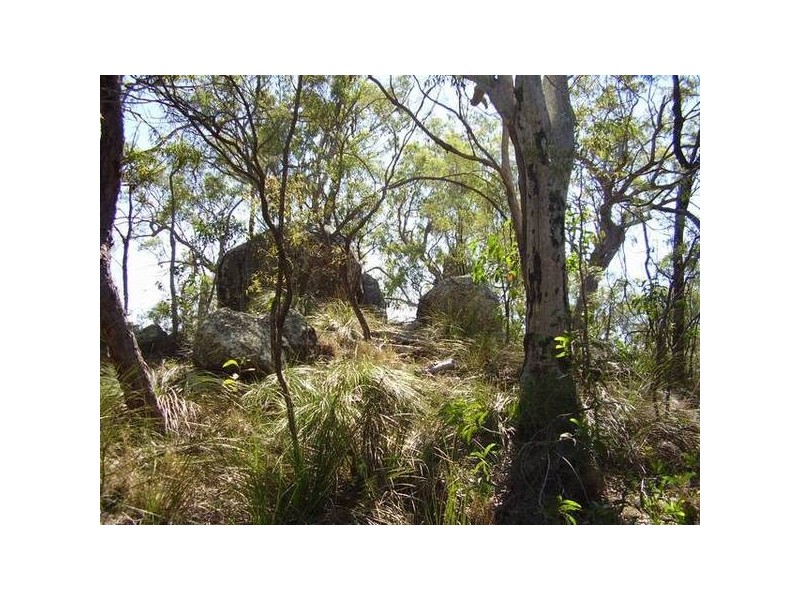 Lowmead QLD 4676