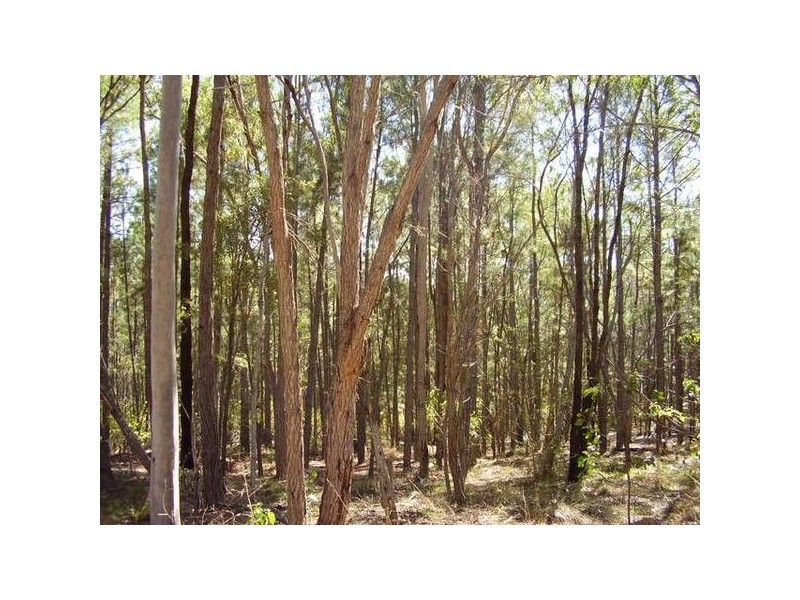 Lowmead QLD 4676