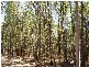 Lowmead QLD 4676