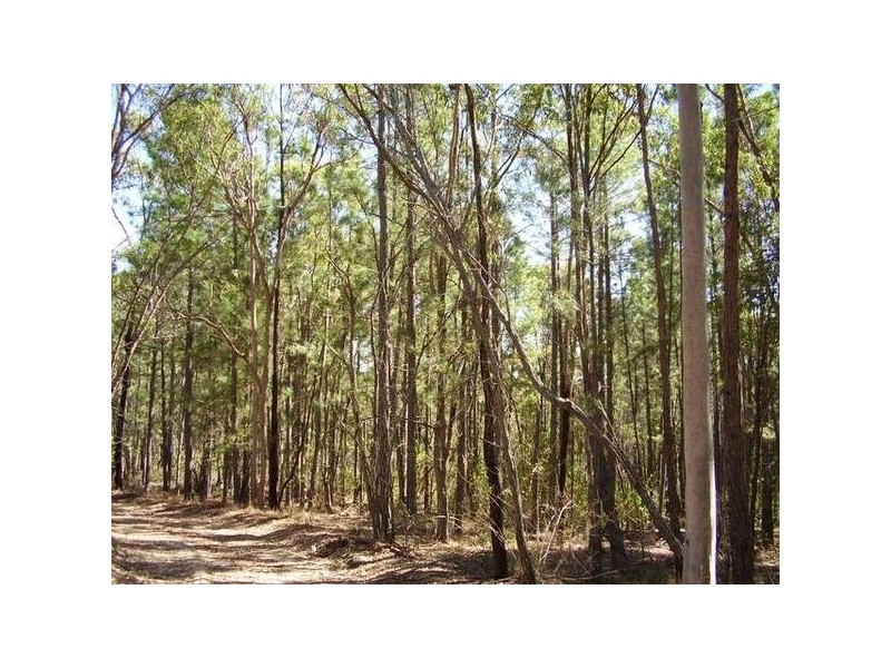 Lowmead QLD 4676