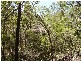 Lowmead QLD 4676