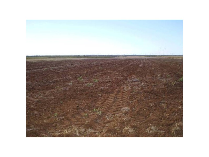Farnsfield QLD 4660