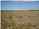 Farnsfield QLD 4660