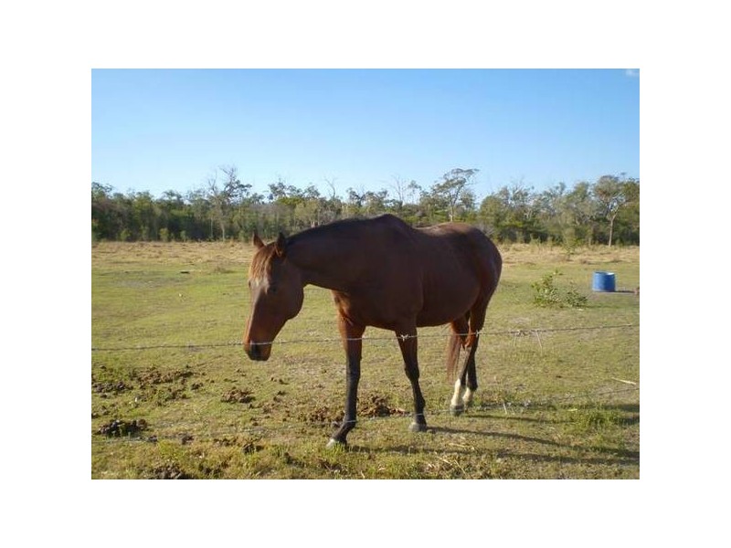 Farnsfield QLD 4660