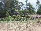 Moore Park QLD 4670