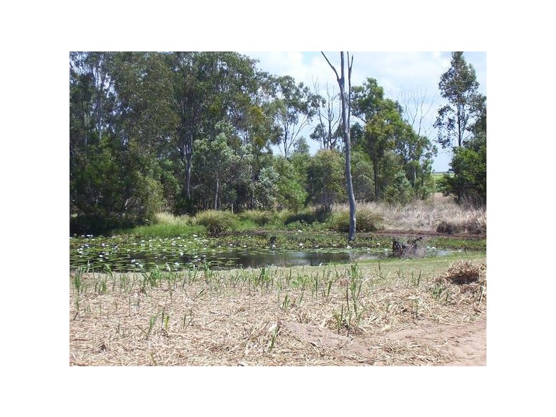 Moore Park QLD 4670