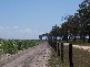 Moore Park QLD 4670