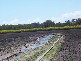 Moore Park QLD 4670