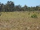 Moore Park QLD 4670