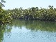 Moore Park QLD 4670