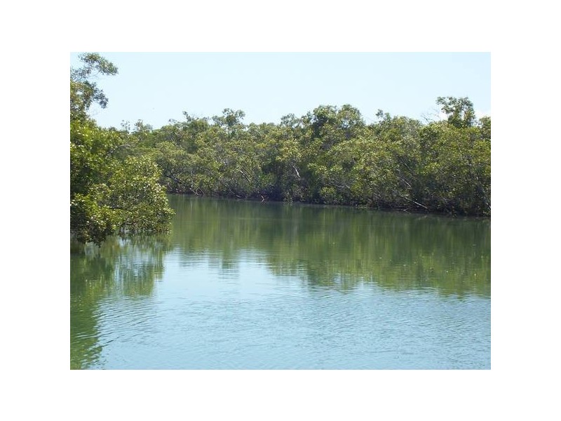 Moore Park QLD 4670