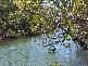 Moore Park QLD 4670