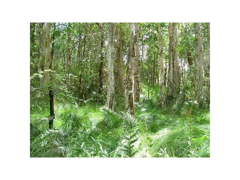 Mount Maria QLD 4674