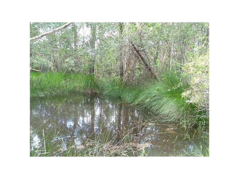 Mount Maria QLD 4674