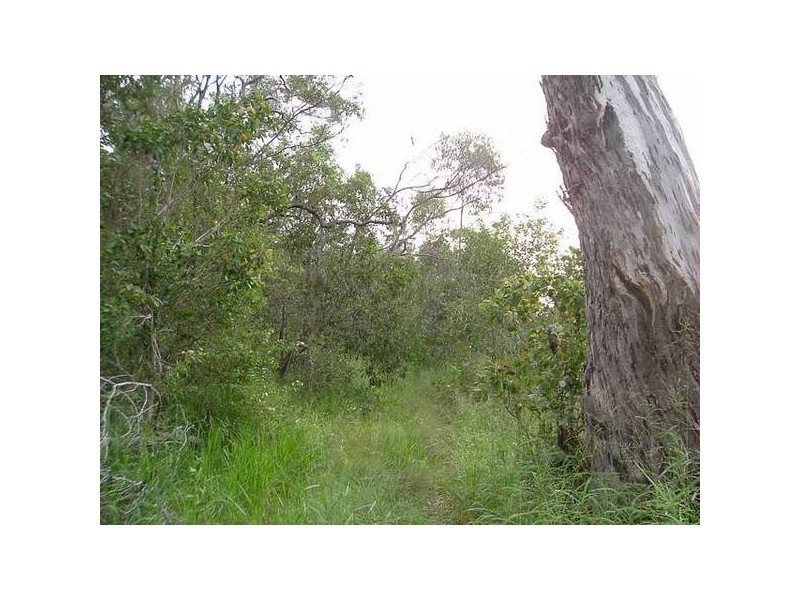 Mount Maria QLD 4674