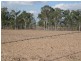 South Kolan QLD 4670