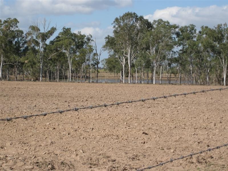 South Kolan QLD 4670