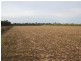 South Kolan QLD 4670