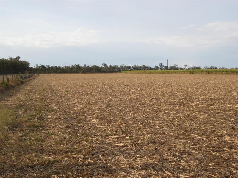 South Kolan QLD 4670