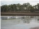 South Kolan QLD 4670