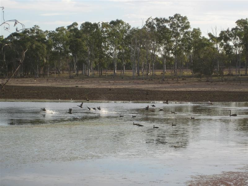 South Kolan QLD 4670