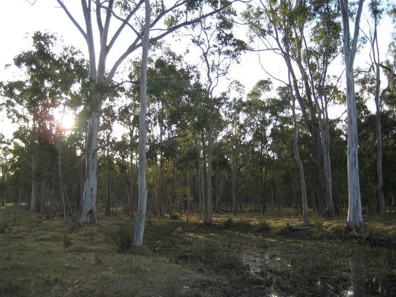 South Kolan QLD 4670