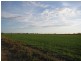 South Kolan QLD 4670