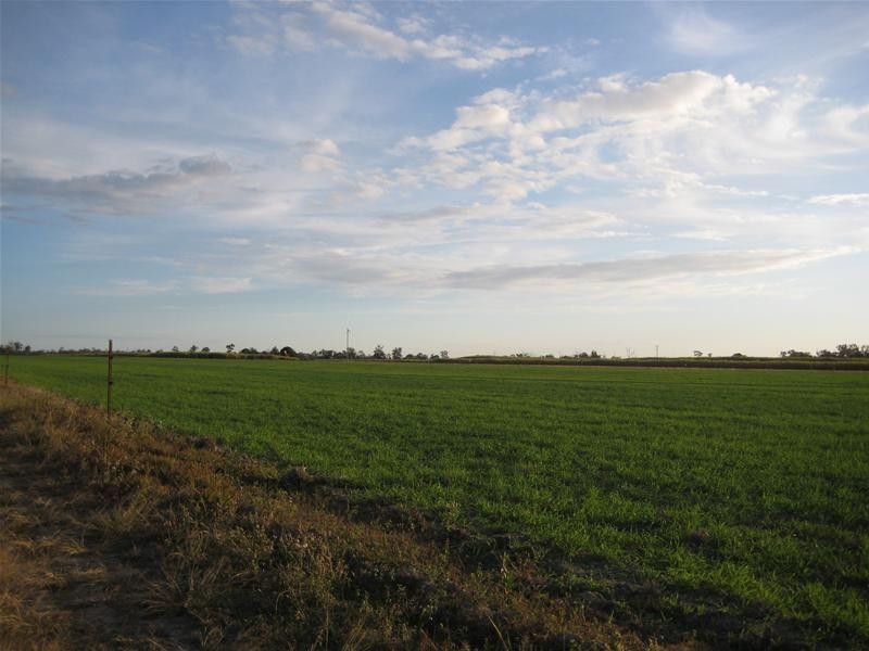 South Kolan QLD 4670