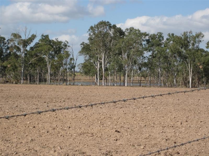 South Kolan QLD 4670