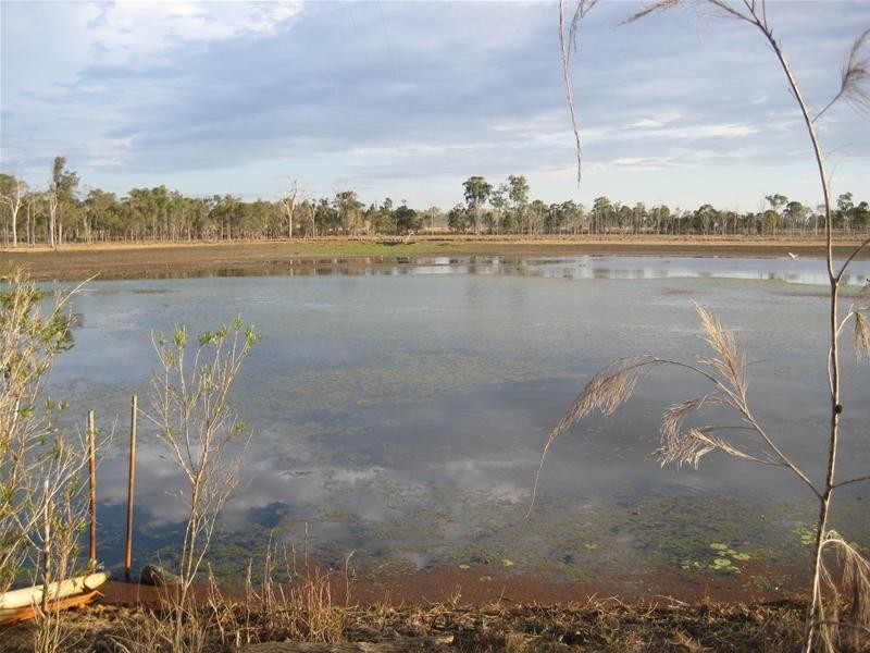 South Kolan QLD 4670