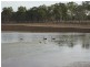 South Kolan QLD 4670