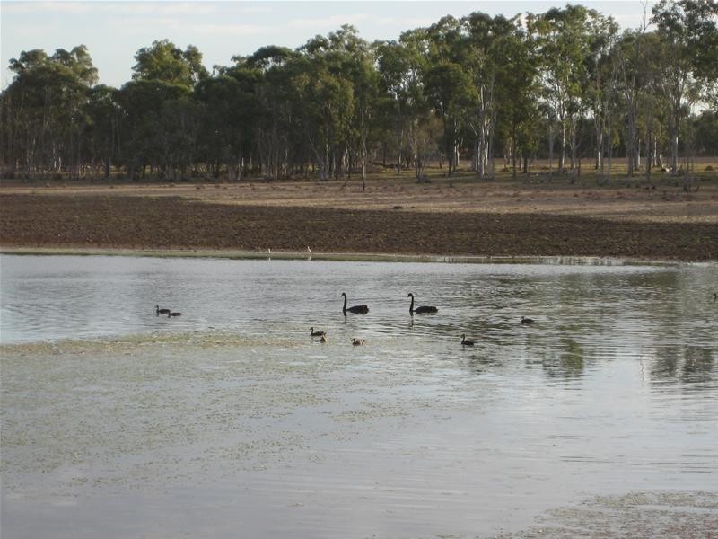 South Kolan QLD 4670