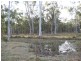 South Kolan QLD 4670