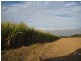 South Kolan QLD 4670