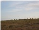 South Kolan QLD 4670