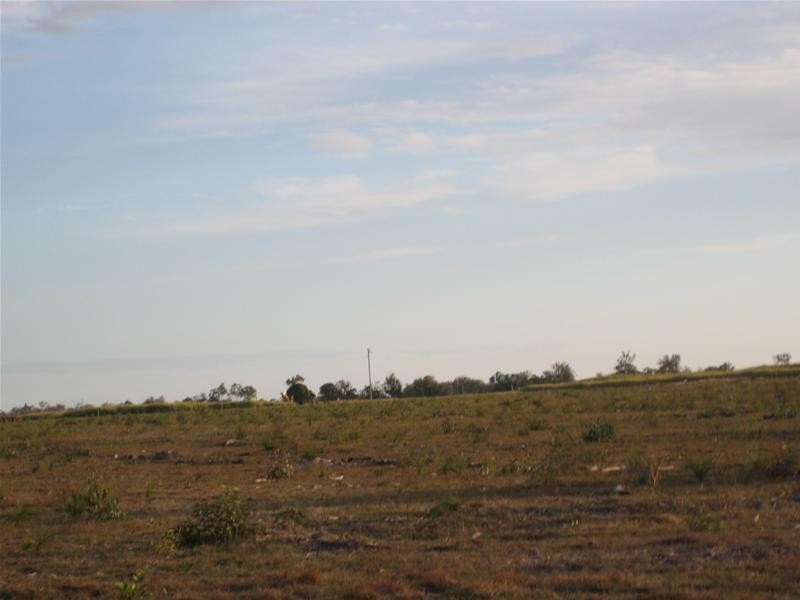 South Kolan QLD 4670