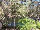 Bullyard QLD 4671