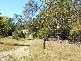 Bullyard QLD 4671
