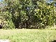 Bullyard QLD 4671
