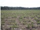 South Kolan QLD 4670