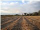 South Kolan QLD 4670
