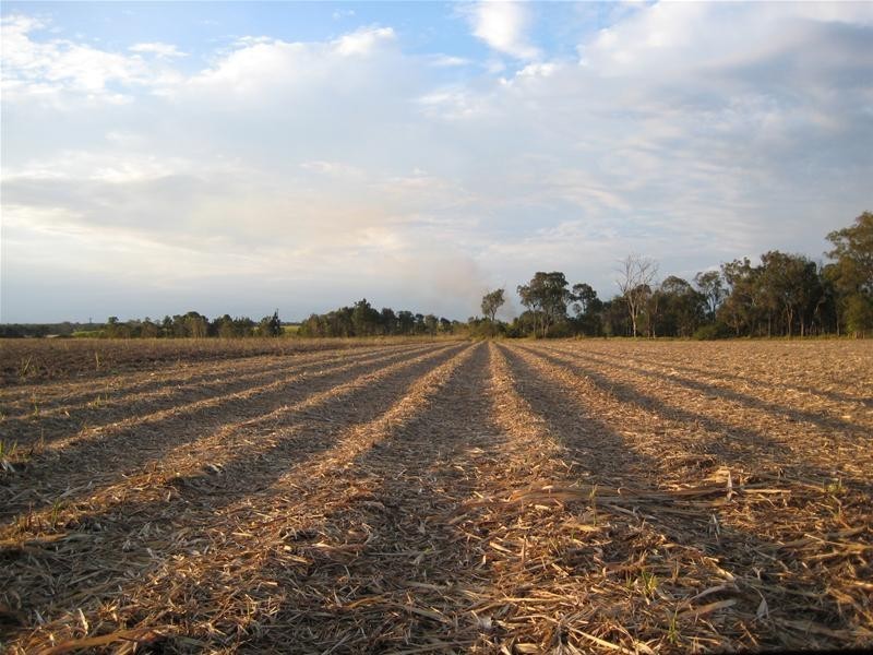 South Kolan QLD 4670