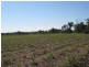 South Kolan QLD 4670