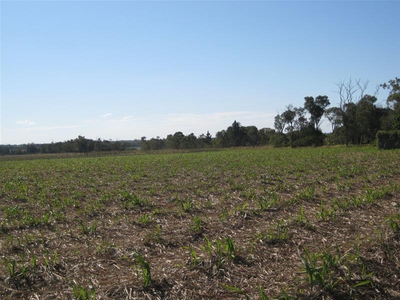 South Kolan QLD 4670