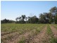 South Kolan QLD 4670