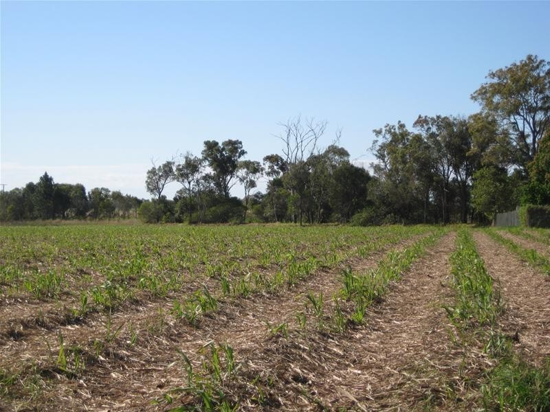 South Kolan QLD 4670