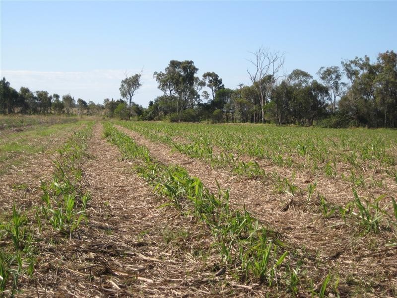 South Kolan QLD 4670