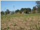 South Kolan QLD 4670