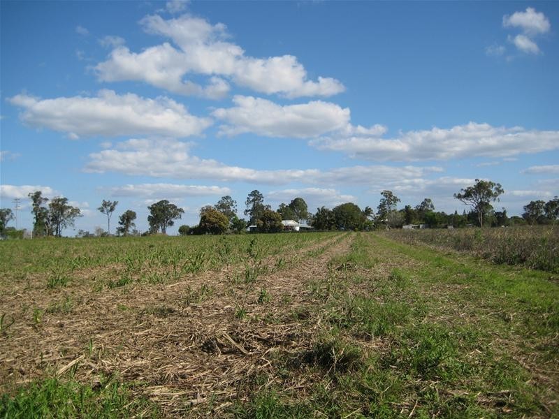South Kolan QLD 4670