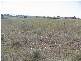 Innes Park QLD 4670